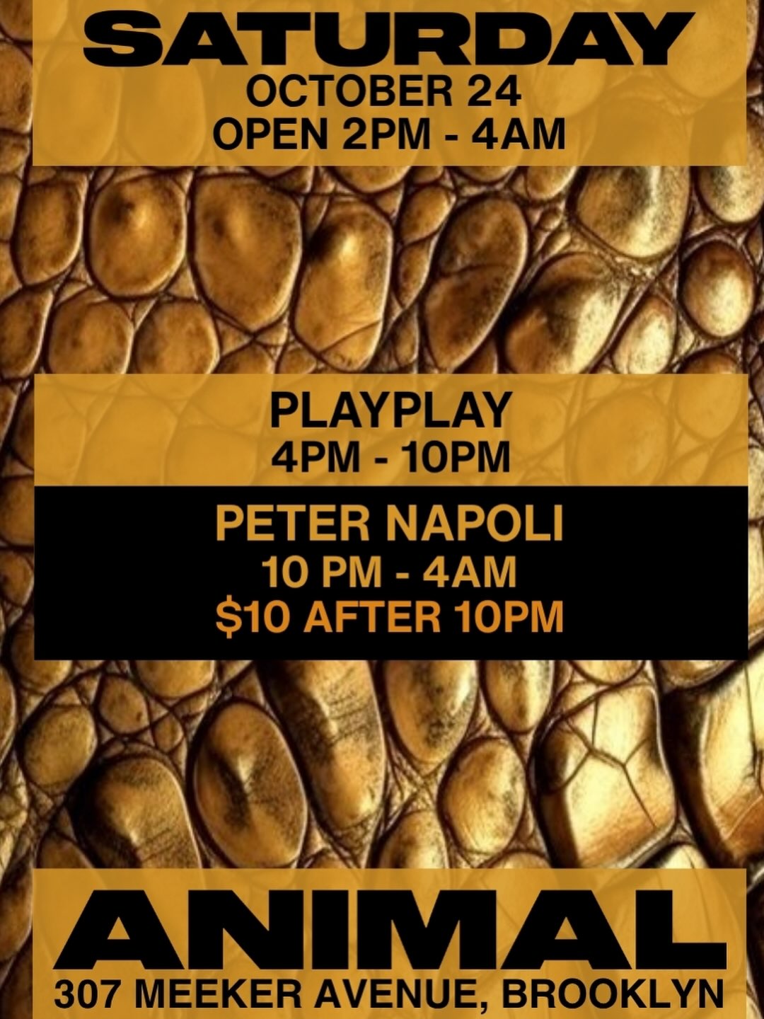 ANIMAL Saturday w/ PlayPlay, Peter Napoli