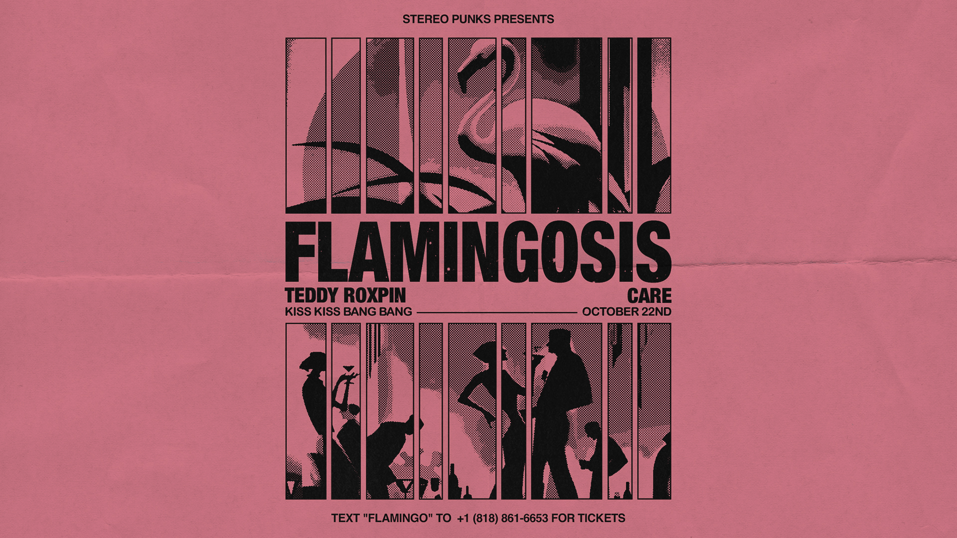 Stereo Punks presents Flamingosis