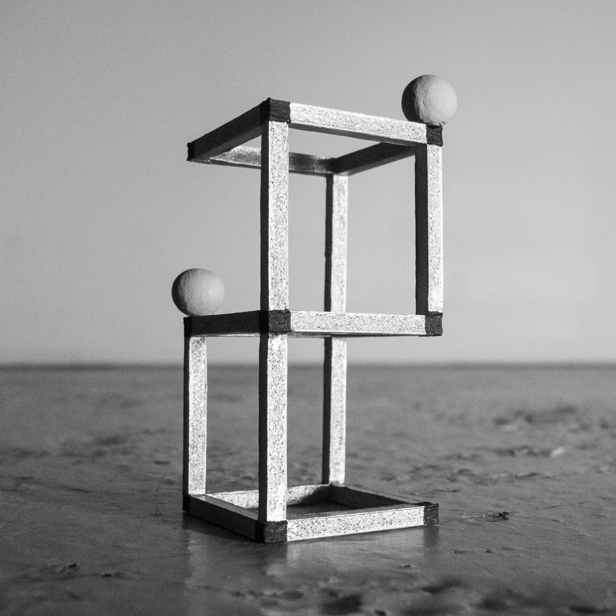 KOOKOO - many gardens will begin... 