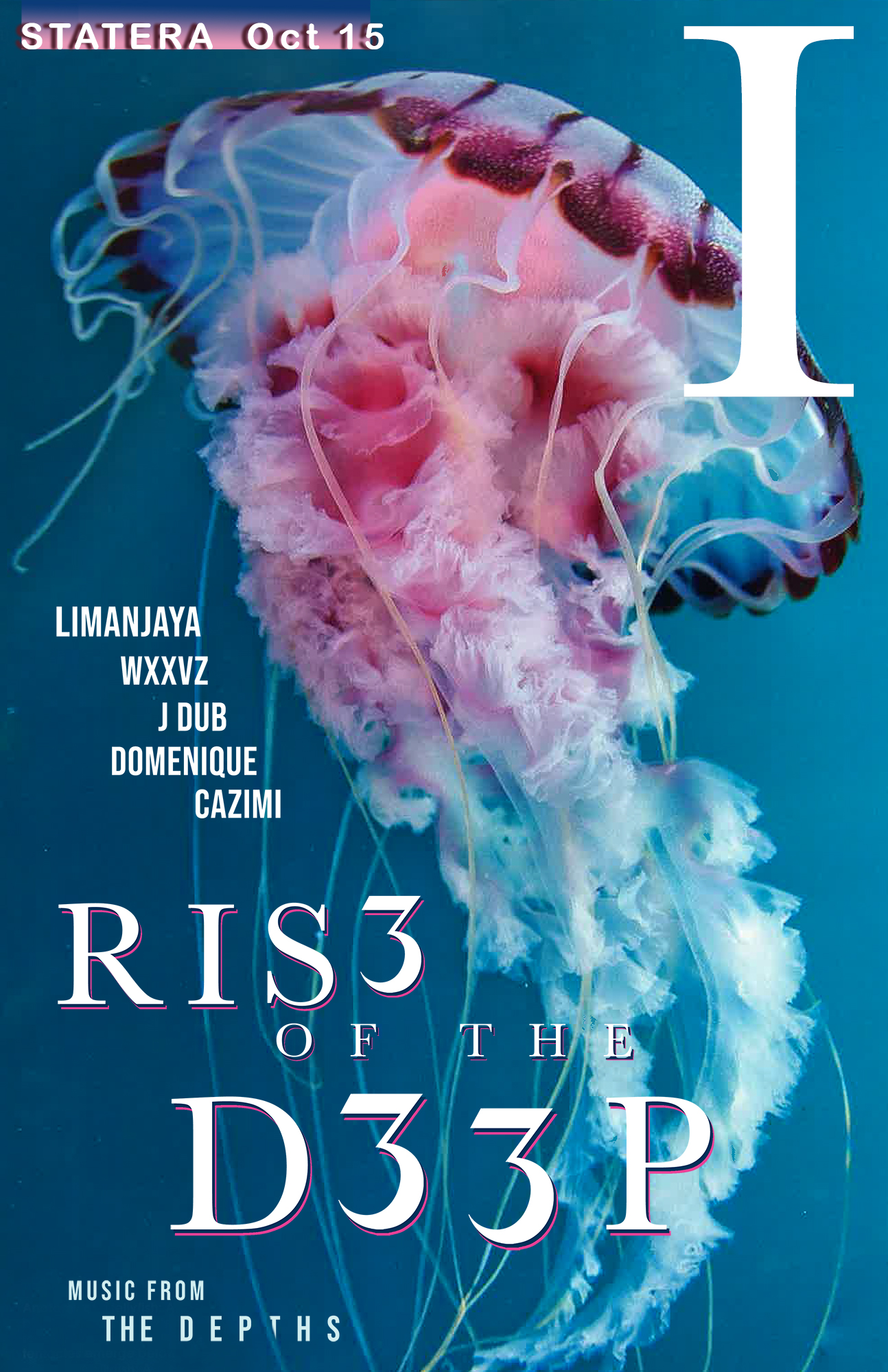 RIS3 of the D33P