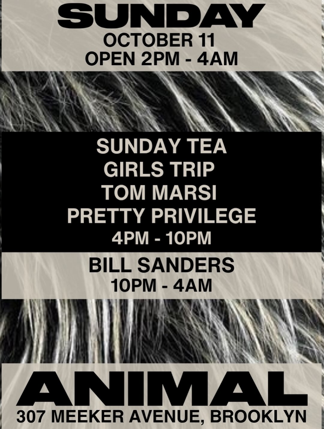 ANIMAL Sunday GIRLS TRIP w/ Tom Marsi, Pretty Privilege, Bill Sanders