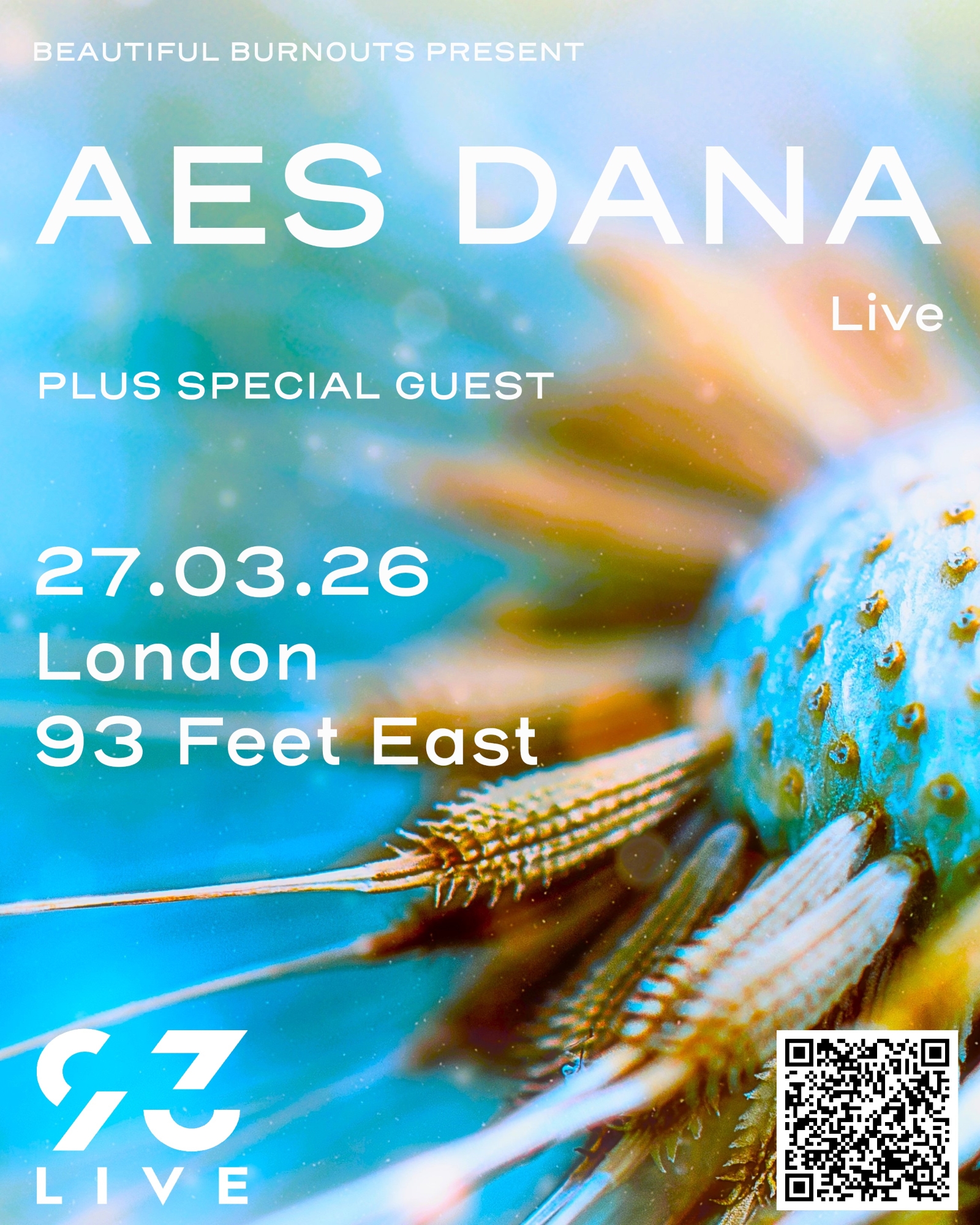 Aes Dana (Live)