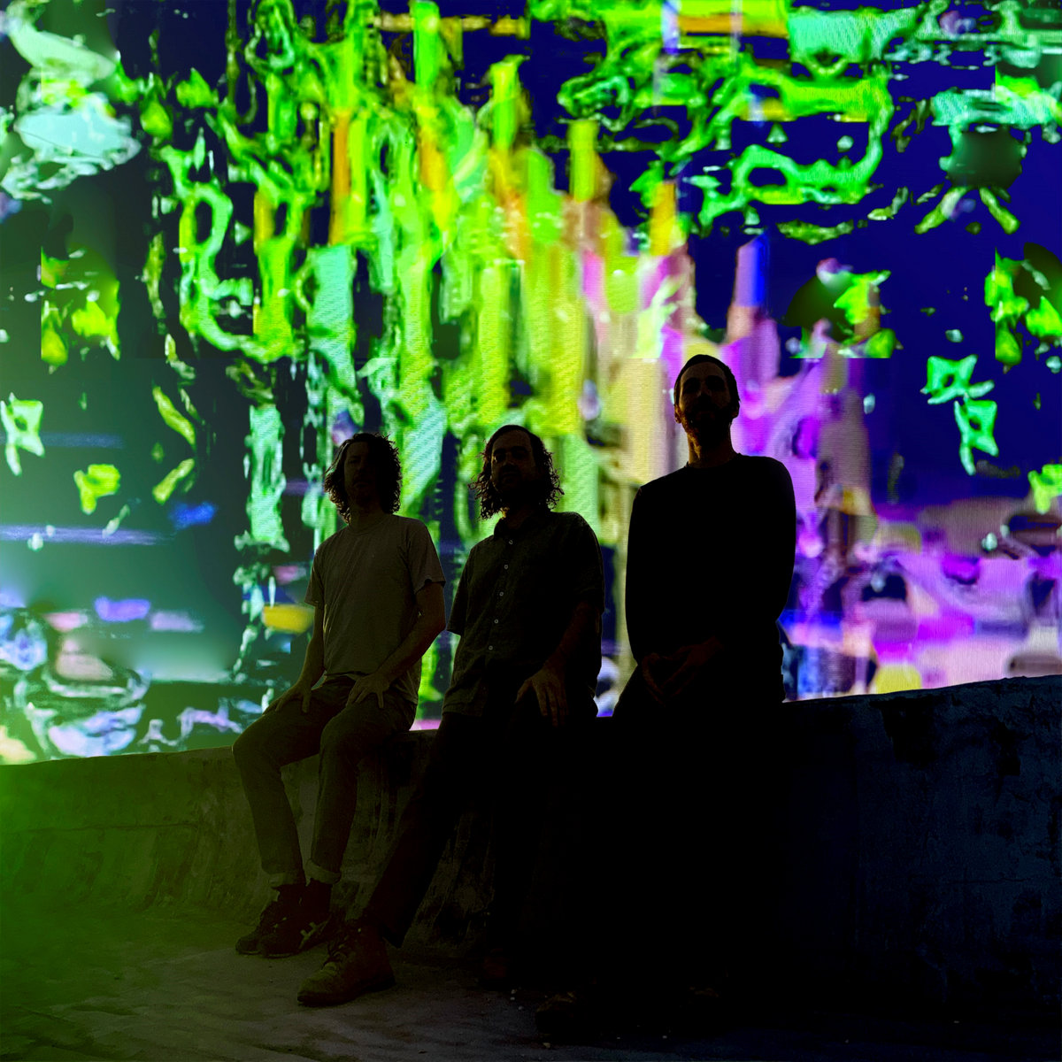 Bitchin Bajas (US / Drag City), Das Ende der Liebe - Photo 3