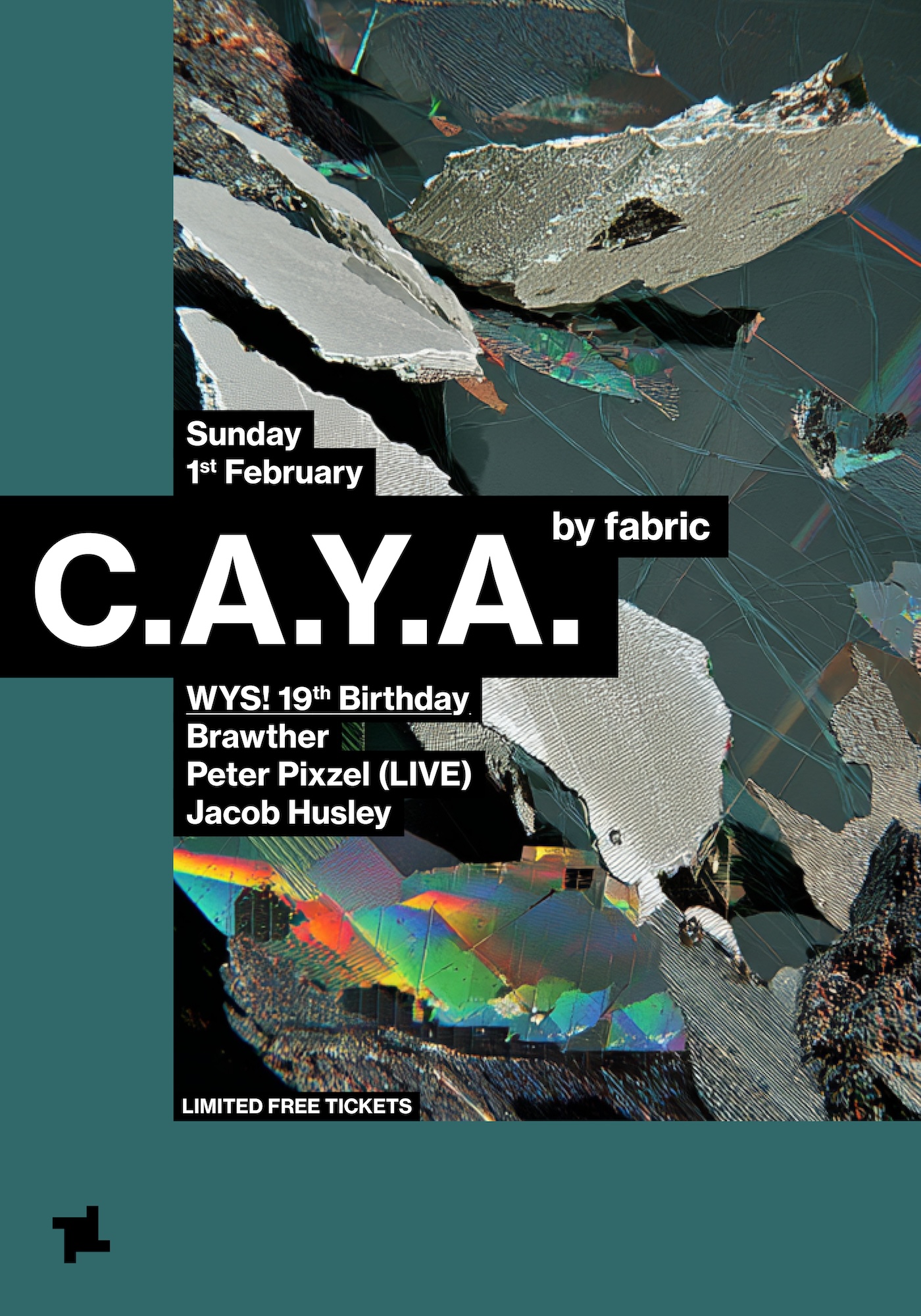 CAYA by fabric: WYS! 19th Birthday - Brawther, Peter Pixzel (LIVE), Jacob Husley