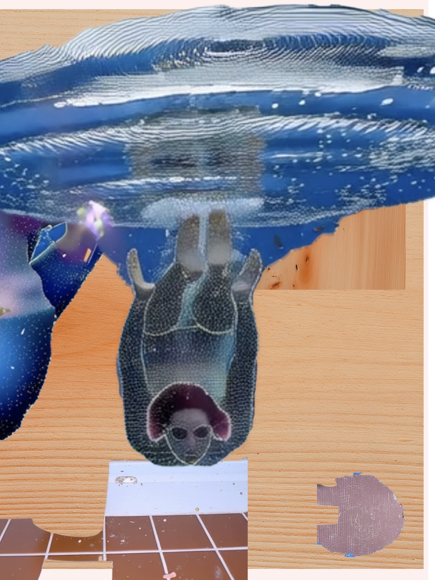 fi x Len Faki & Parakeet