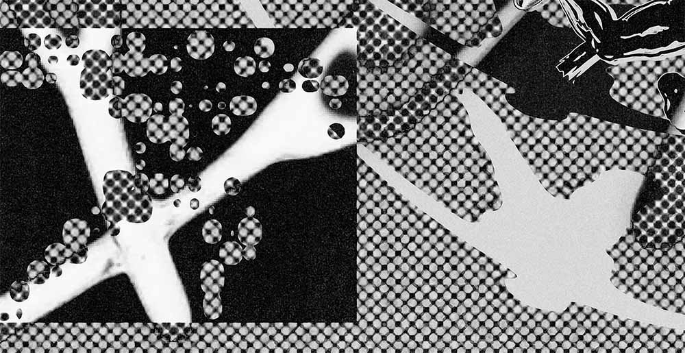 Macadam x Frog Attack • PRIMØ ~ Krose ~ MOTA