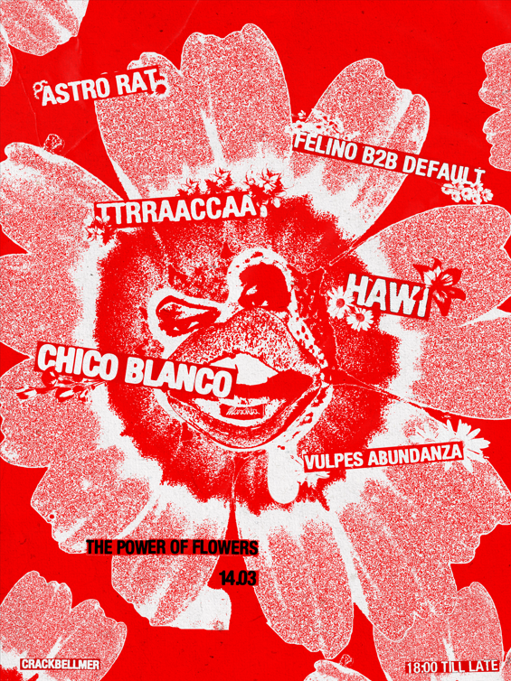 Manolita, the power of the flower