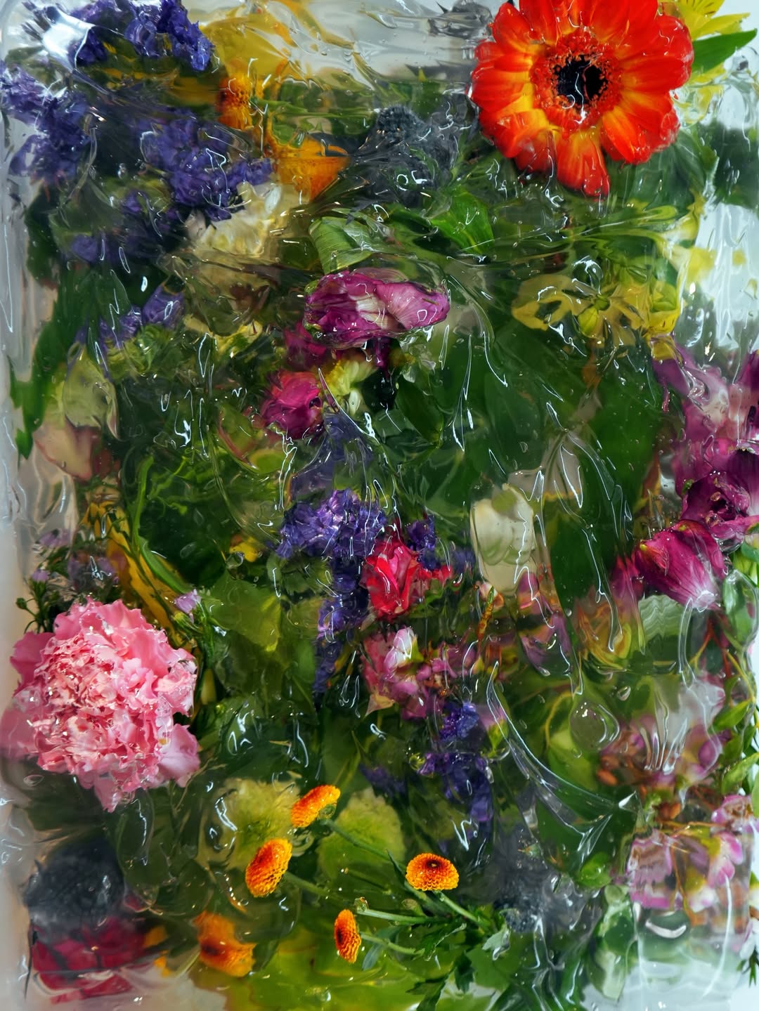 Pornceptual does Amsterdam