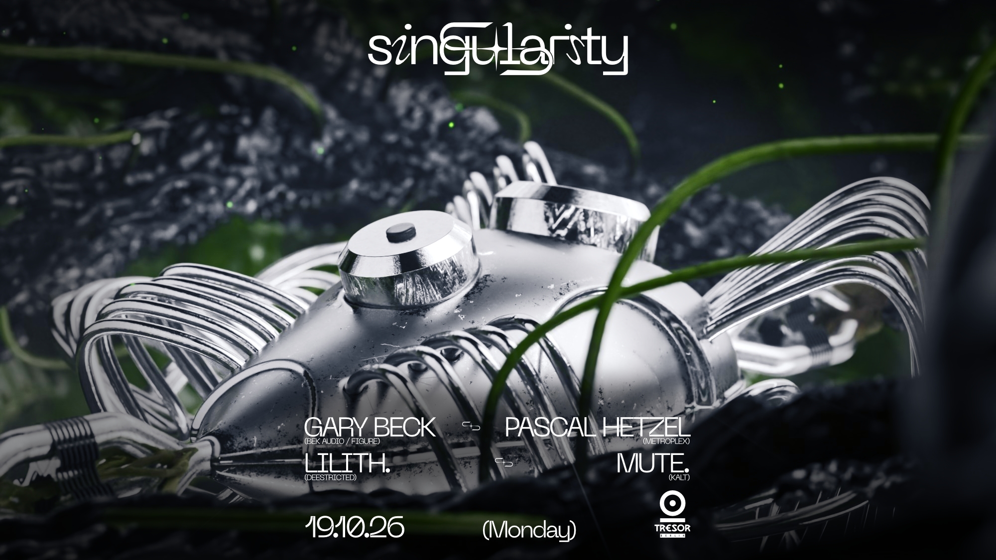 ◥◣SINGULARITY◥◣ flyer