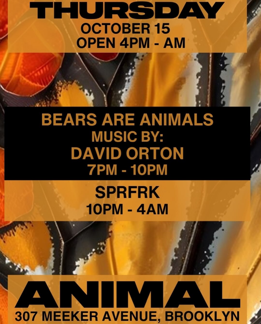 ANIMAL Thursday BEARS ARE ANIMALS w/ David Orton, SPRFRK
