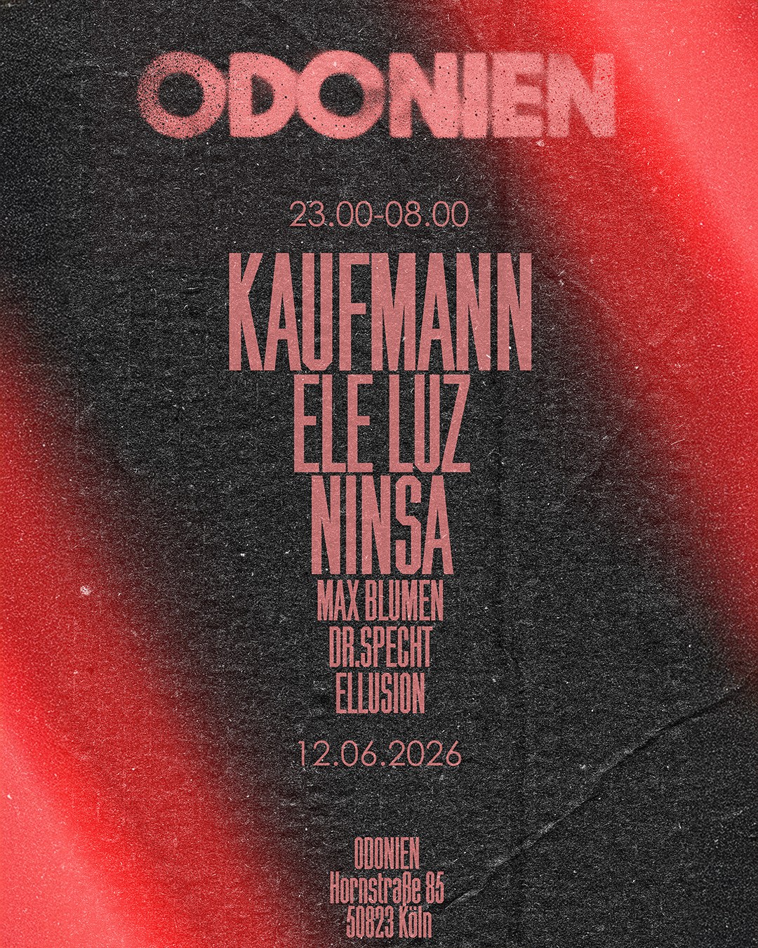 Die Kaufmann und Ele Luz in Odonien