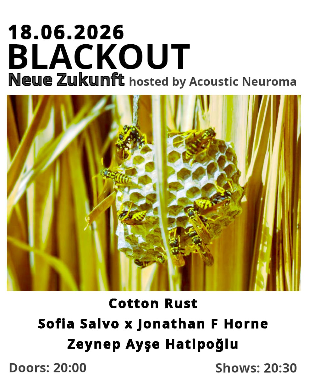 Blackout hosted by Acoustic Neuroma