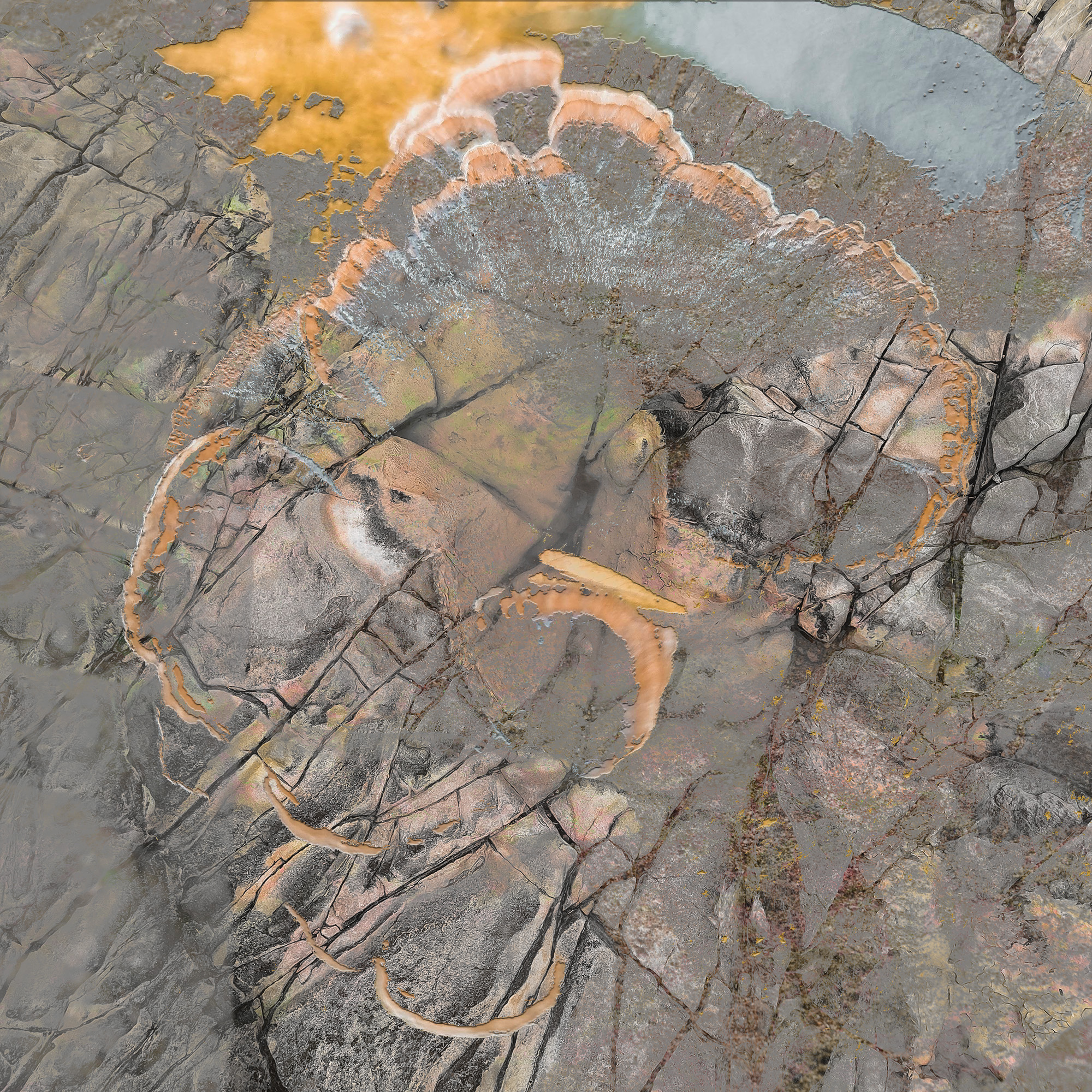 Carrier live A/V & Panchronics A/V