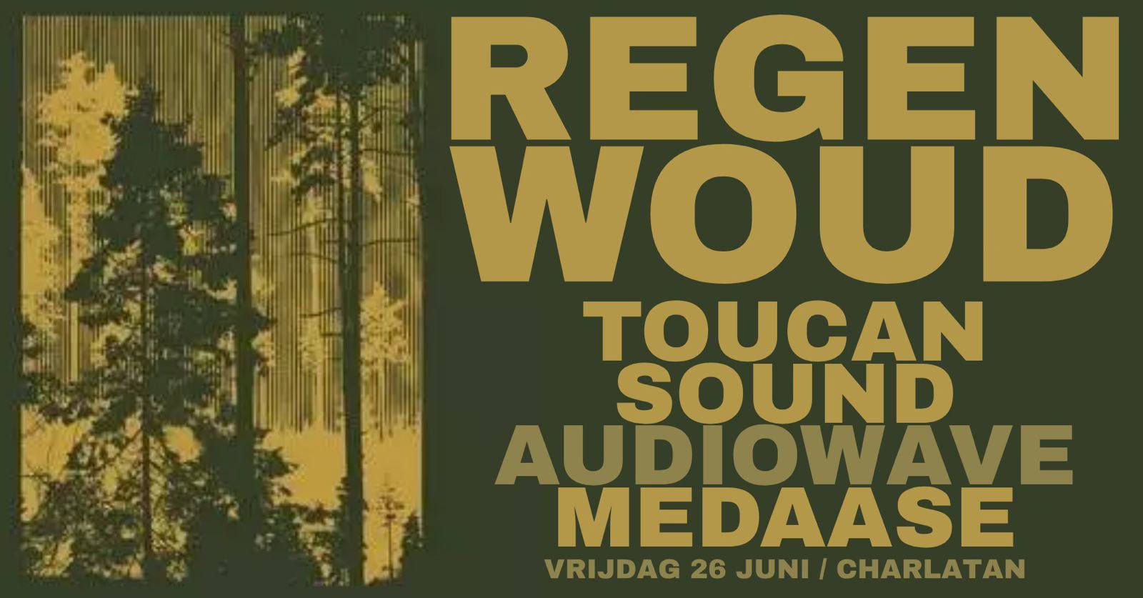 Regenwoud