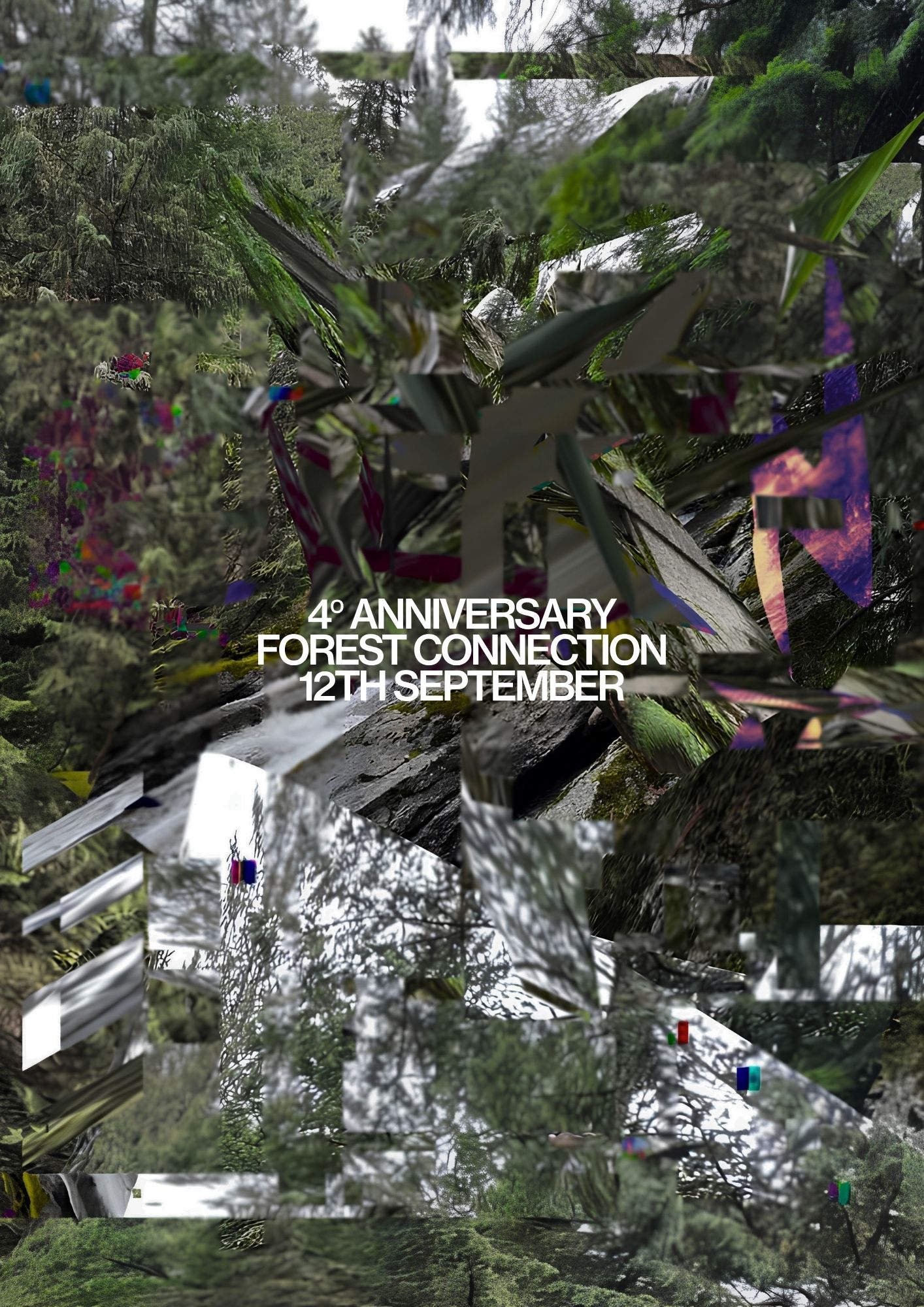 FOREST CONNECTION : Signature 4º Anniversary
