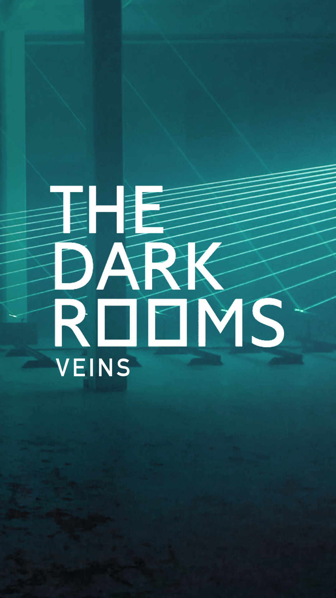 THE DARK ROOMS VEINS