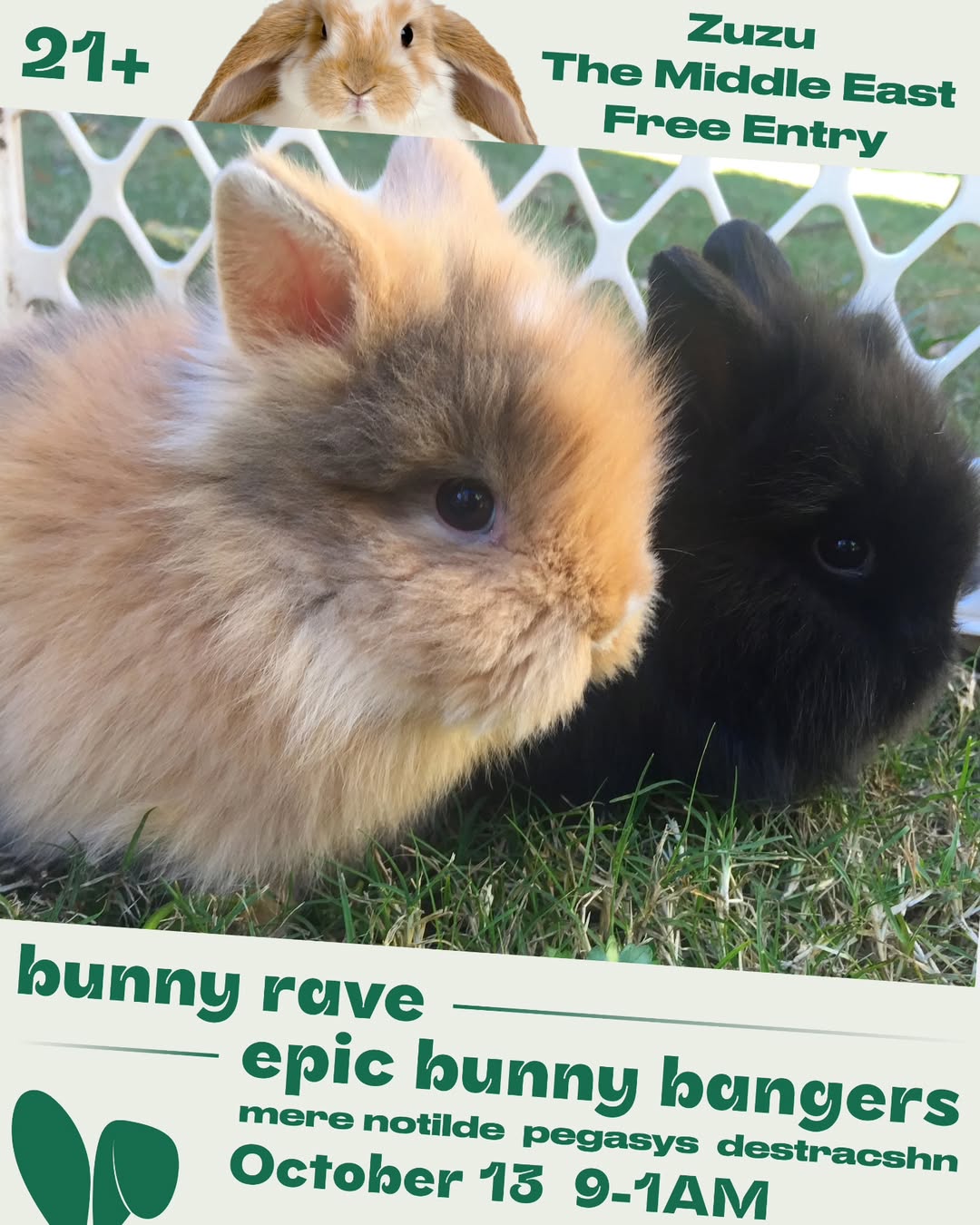 Rabbit Crimes: Bunny Rave