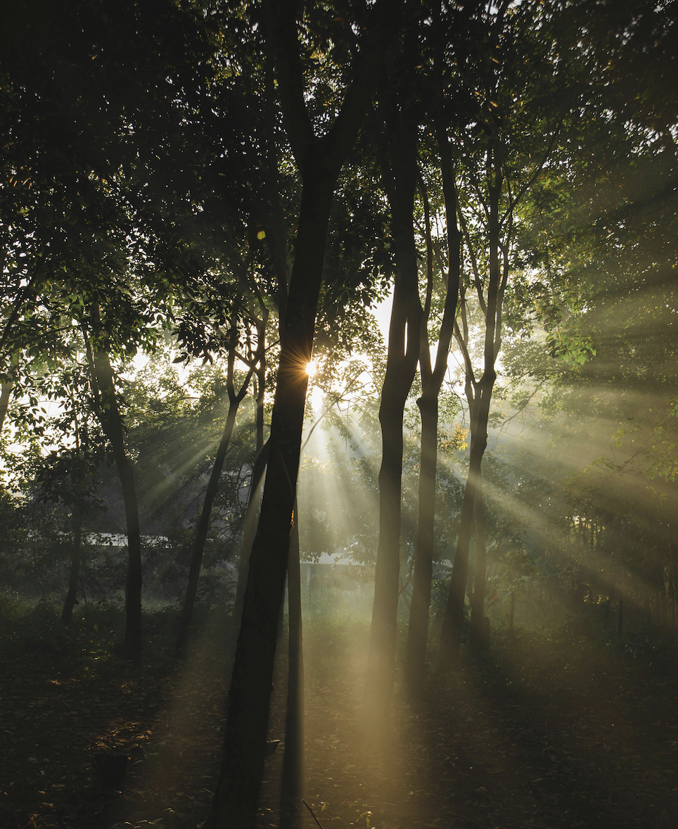 Secret Location By Day