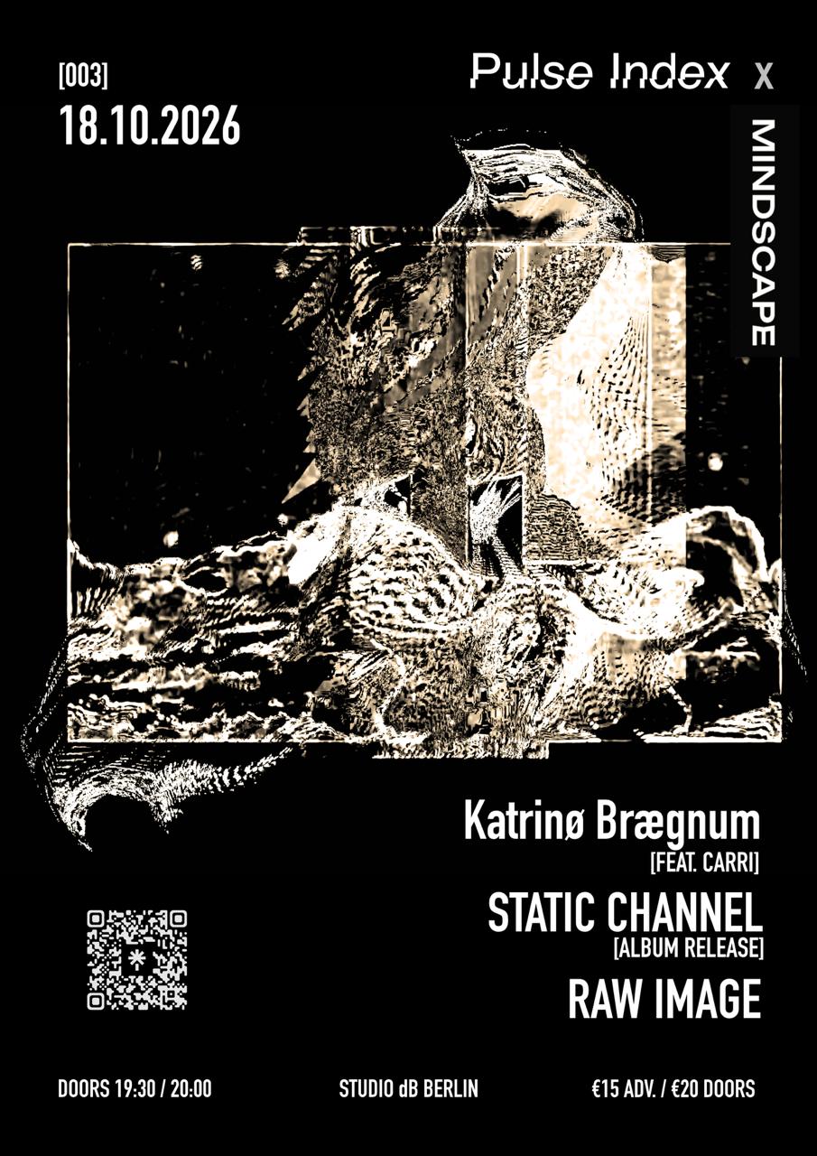 Pulse Index 003: Static Channel (album release), Katrinø Brægnum, Raw Image
