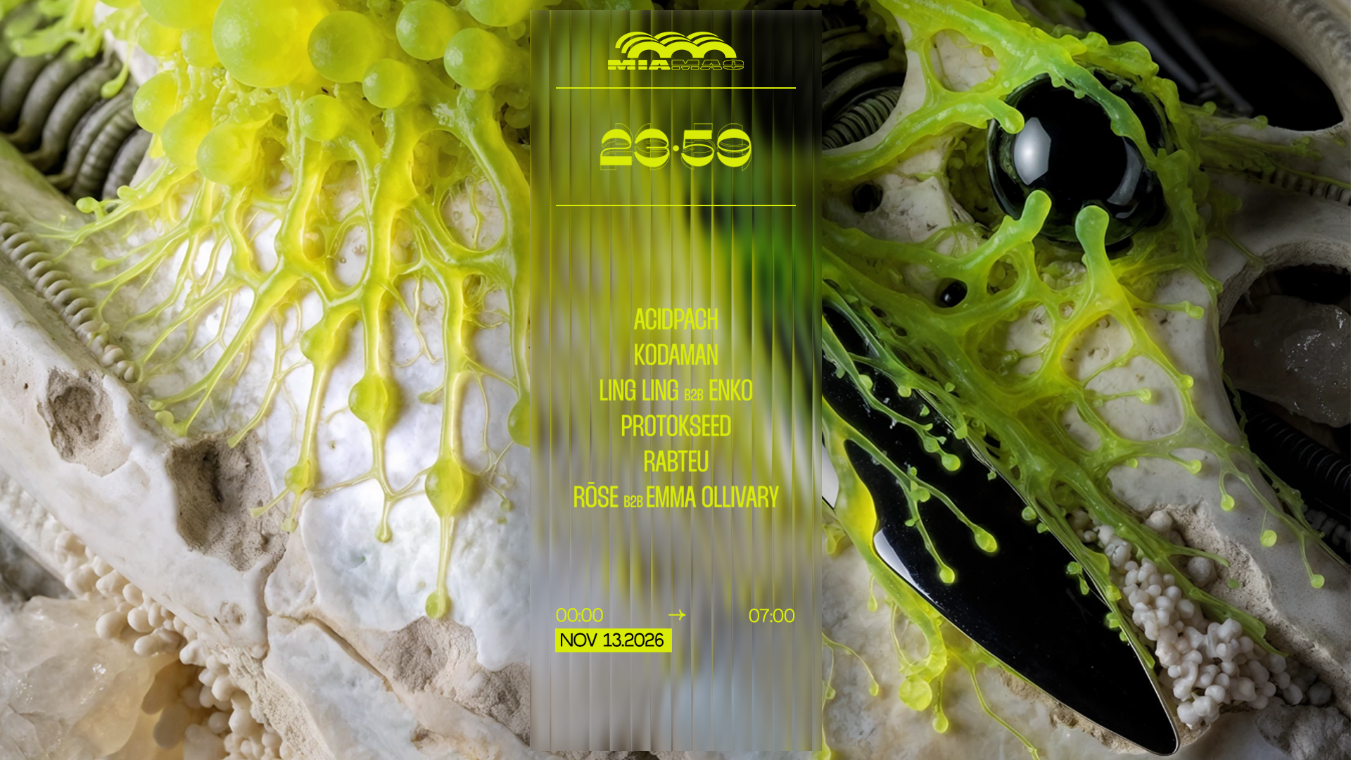 23:59: Protokseed, LING LING B2B ENKO, ACIDPACH & MORE