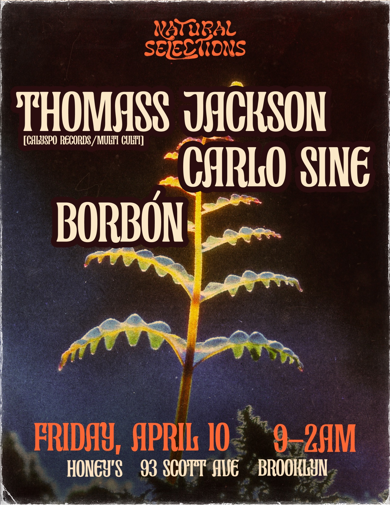 Natural Selections: Thomass Jackson, Carlo Sine, Borbón