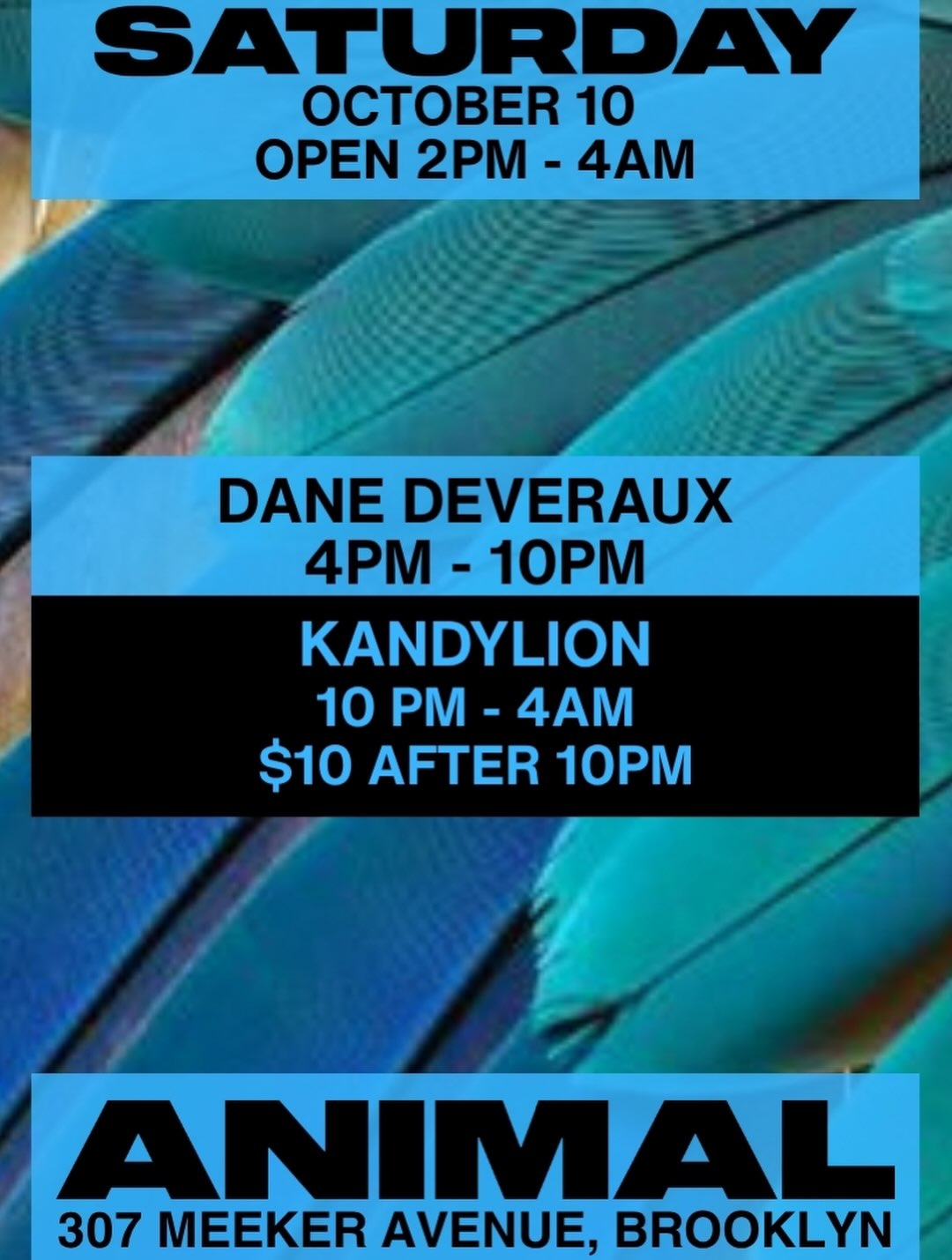 ANIMAL Saturday w/ Dane Deveraux, Kandylion