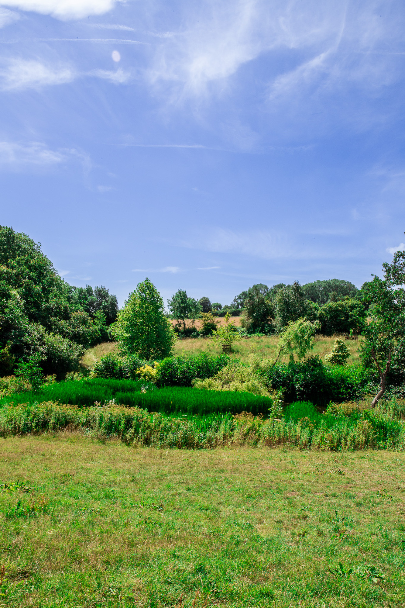 Dancing Family Festival 2026