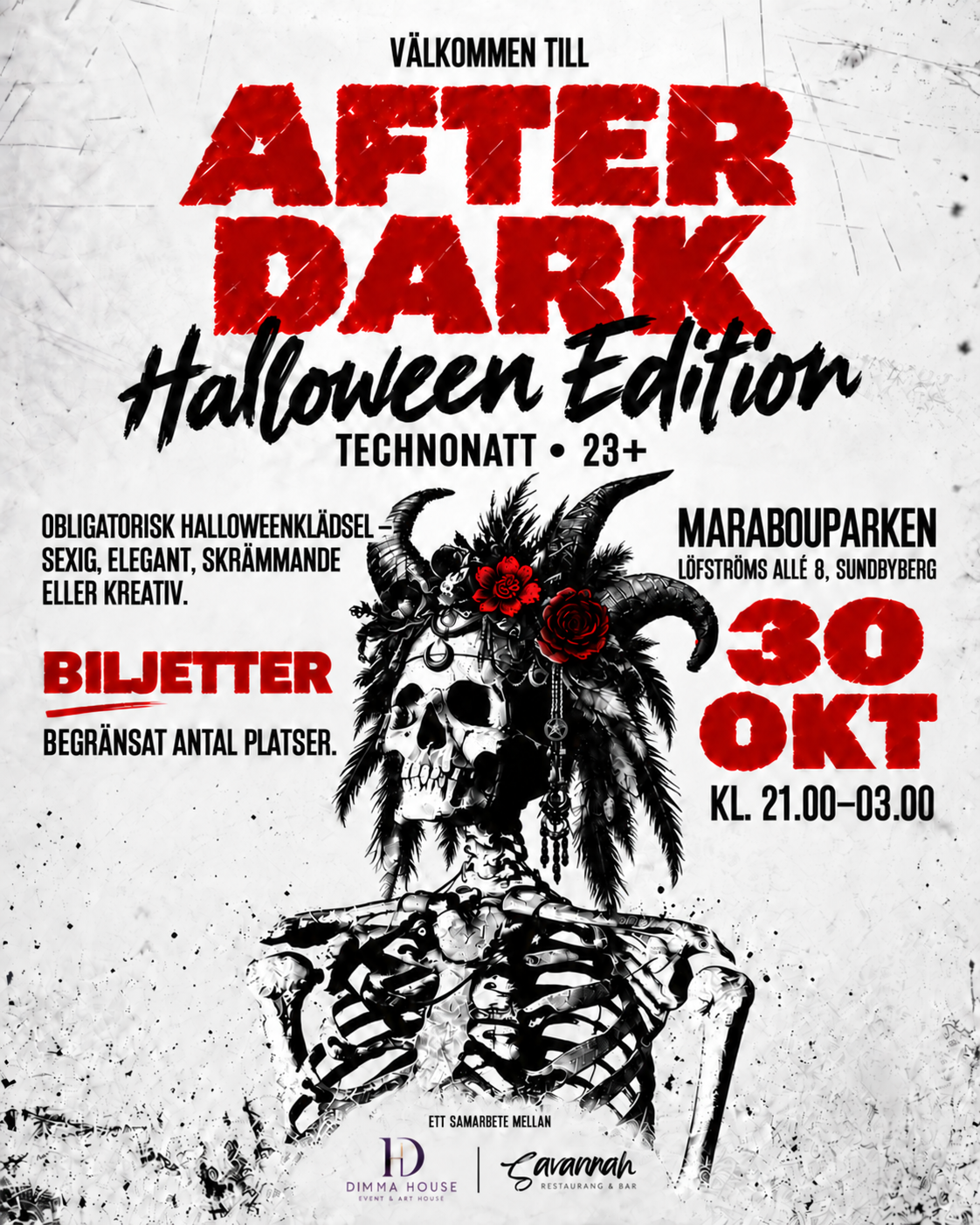 Halloween- After Dark/ Techno Night