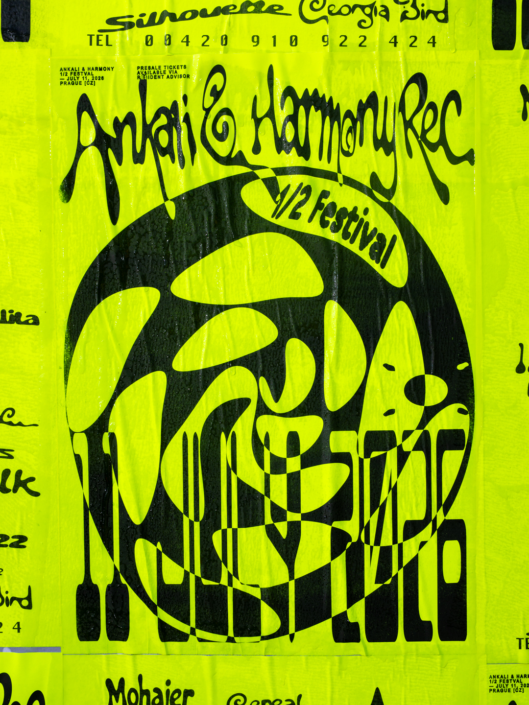 Ankali & Harmony: ½ festival