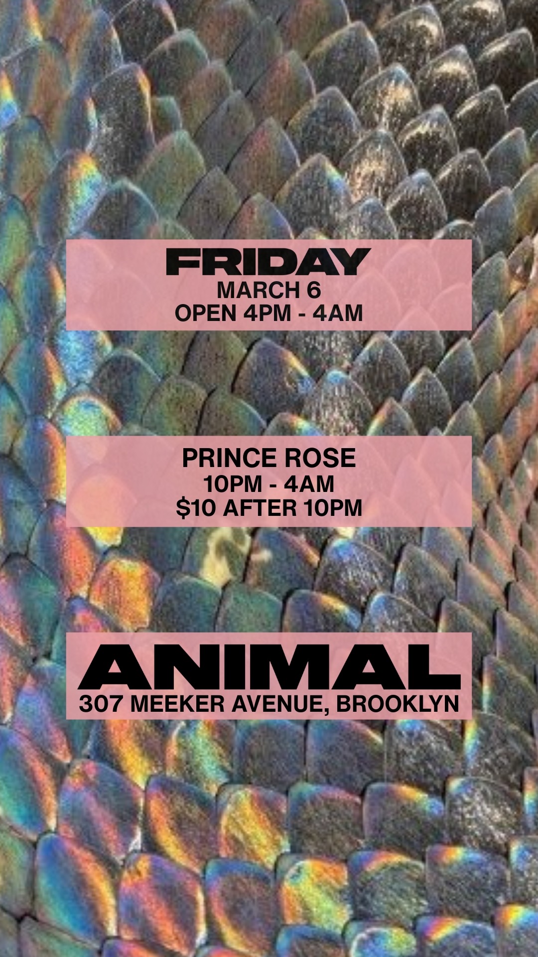 Prince Rose at Animal