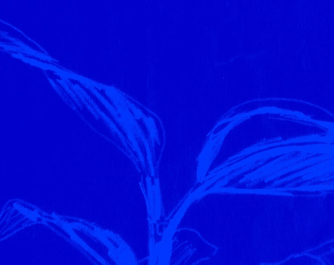 AAA
