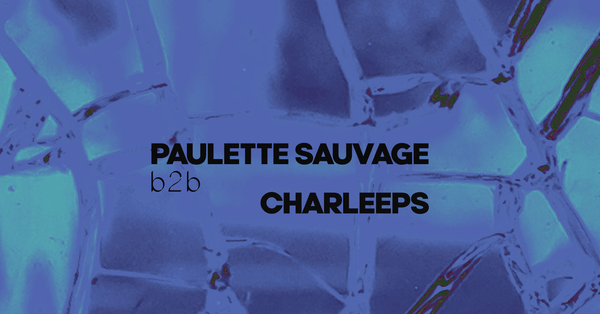 Paulette Sauvage B2B Charleeps