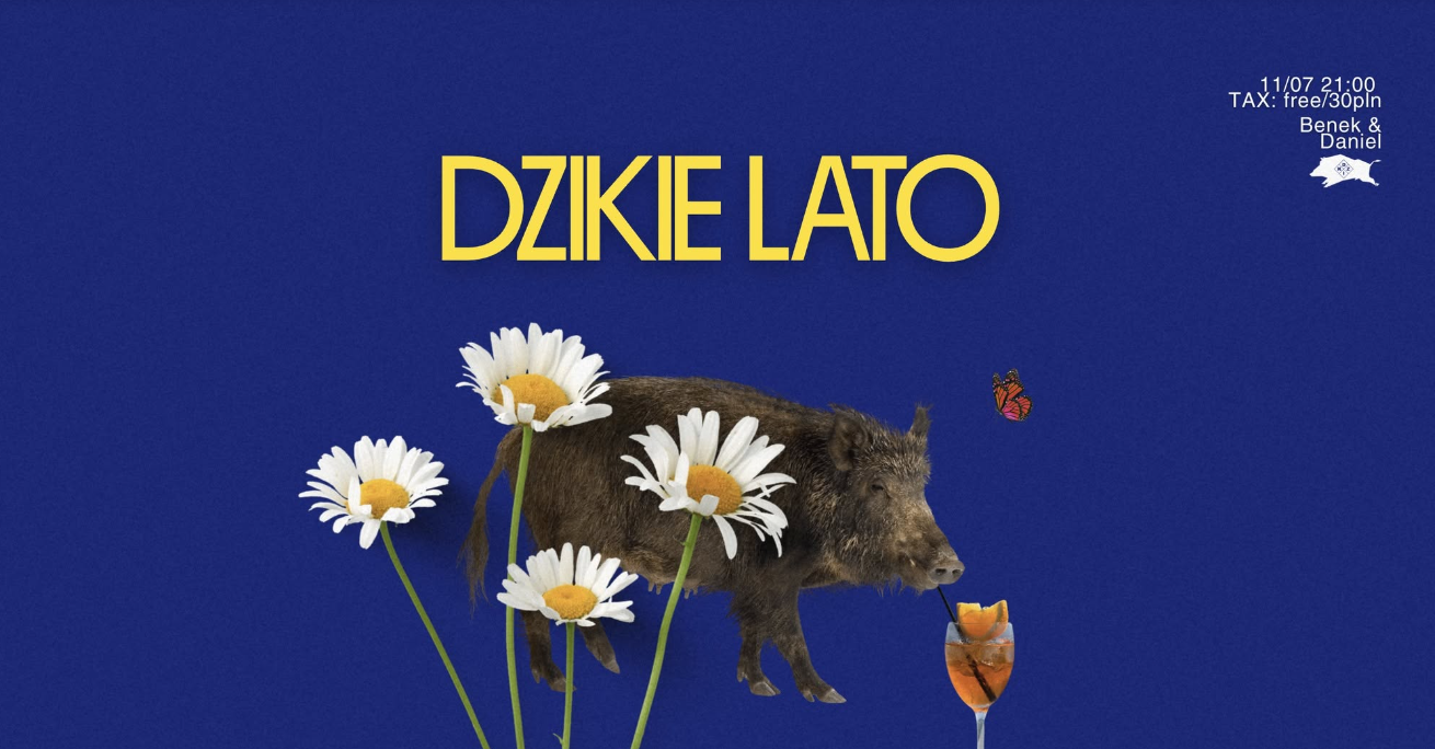 DZIKIE LATO | Vinylstealer & JON-X — DZiK, Варшава