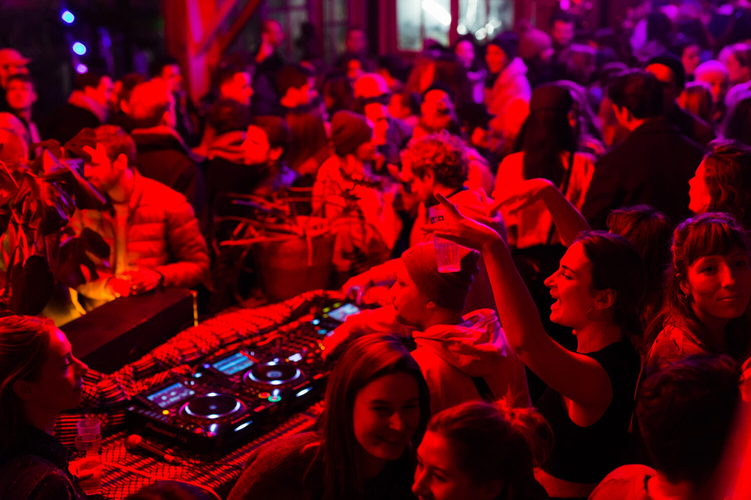 DE DANSVLOER / Krismika