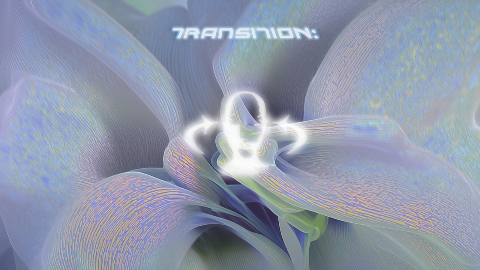 Transition: Lb Honne [LIVE], charis & Bluehaven aka Stray Golden [LIVE]