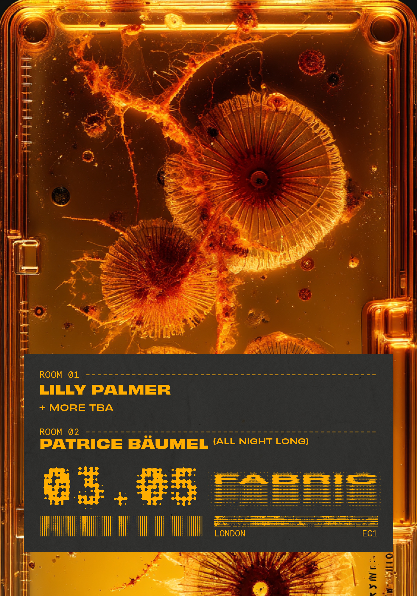 fabric: Lilly Palmer, Patrice Bäumel (All Night Long) + more tba