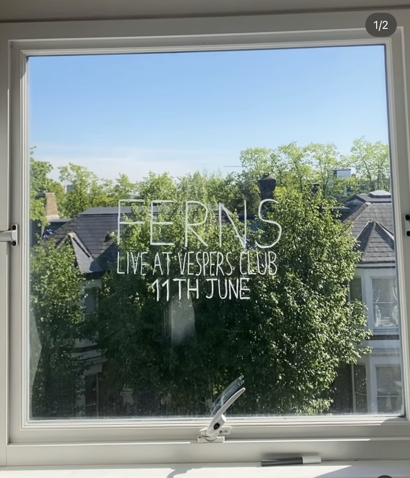 Ferns + special guests