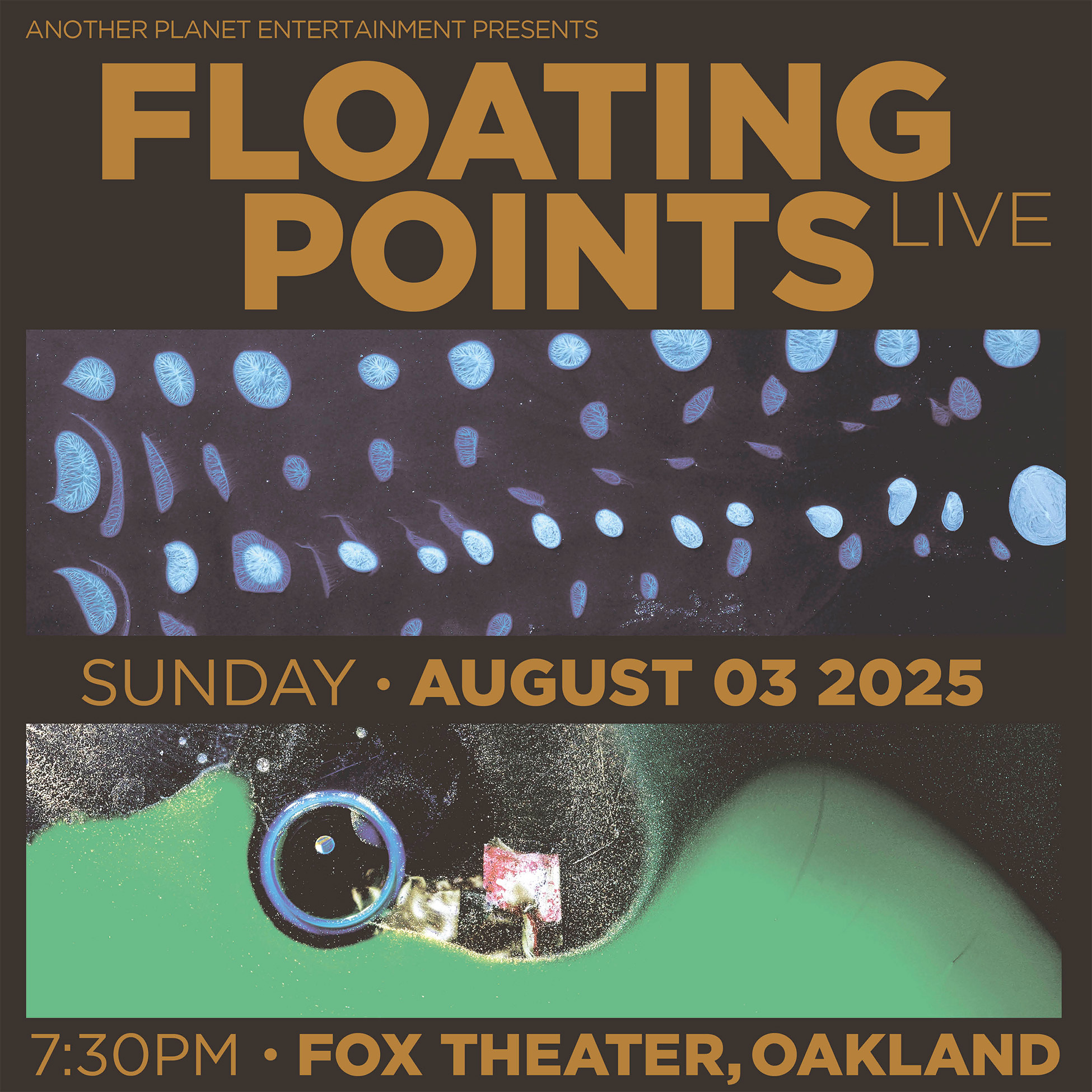 a3b2315c25edb7e6c9759bac95947a