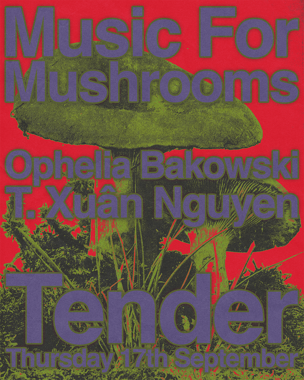 Music For Mushrooms