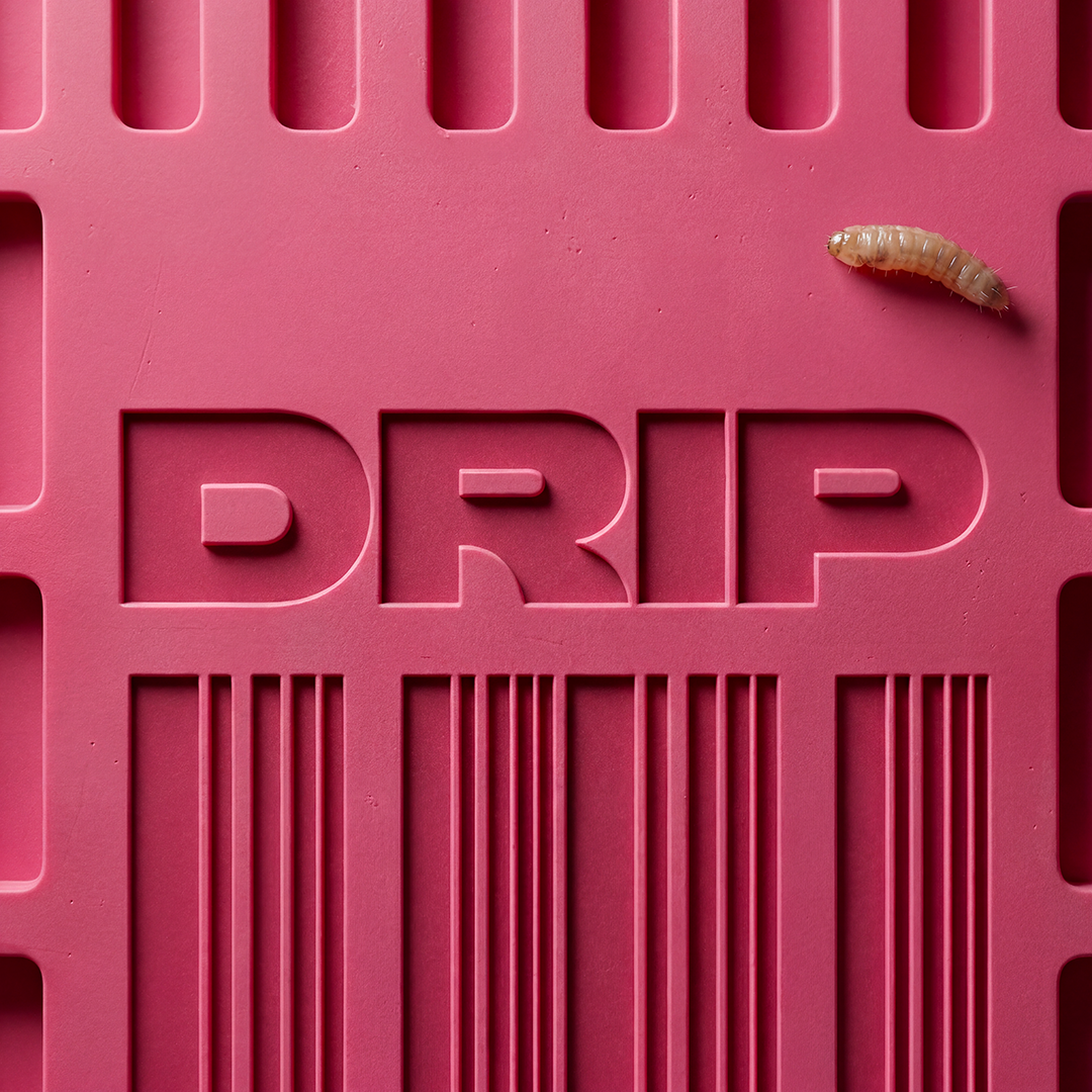 DRIP Pride