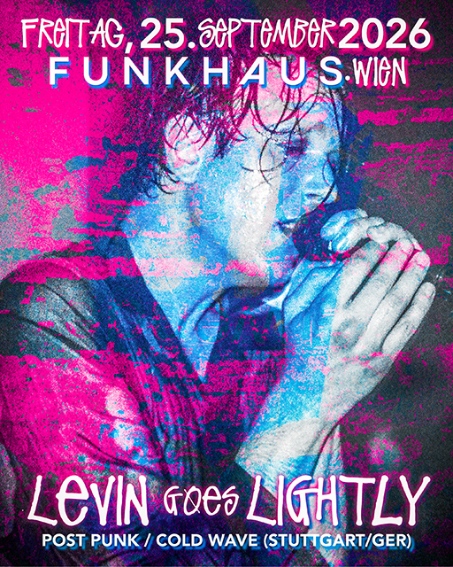 Levin goes Lightly x Institut für Schattenarbeit.