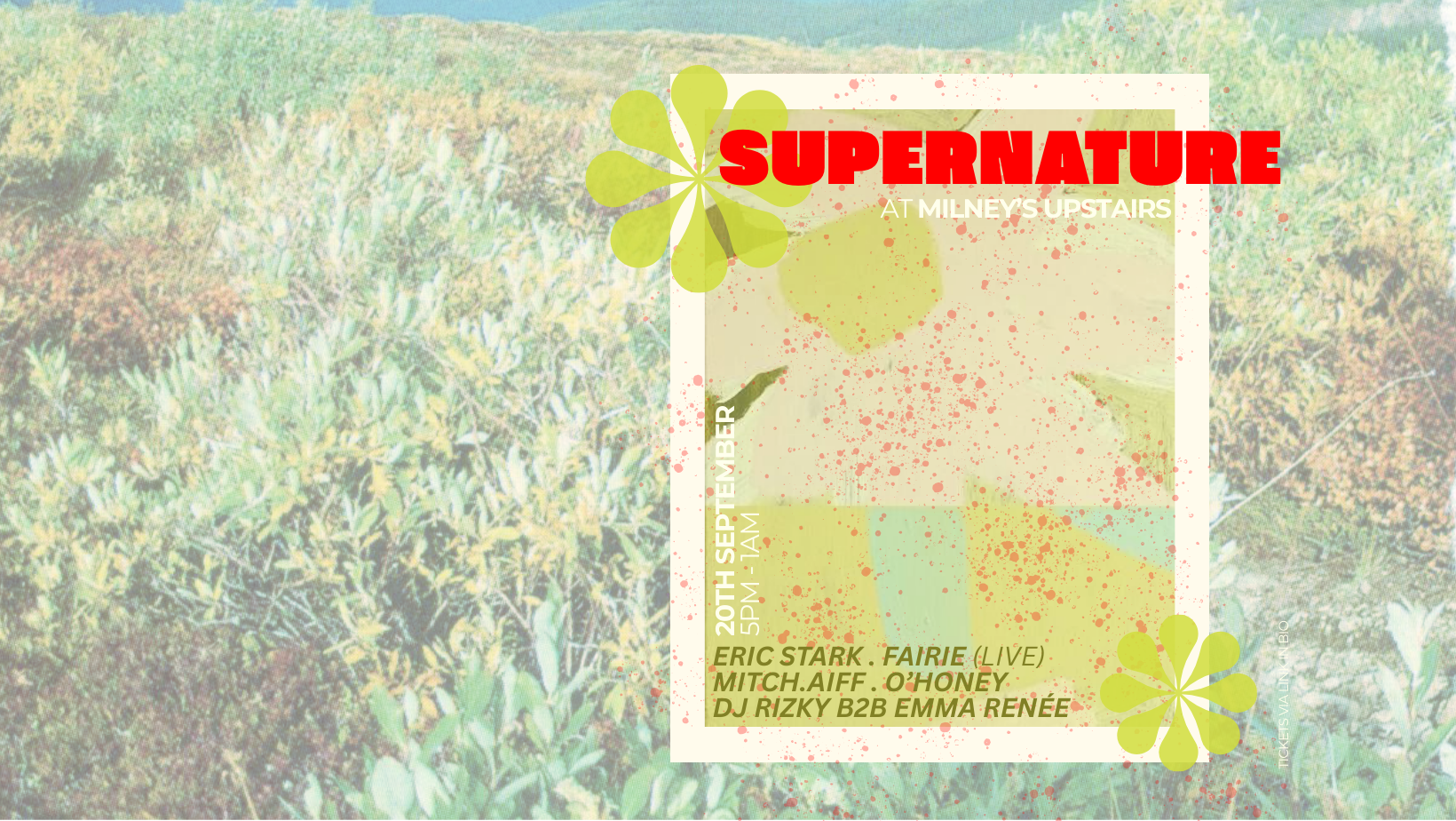 SUPERNATURE at Milney's Upstairs