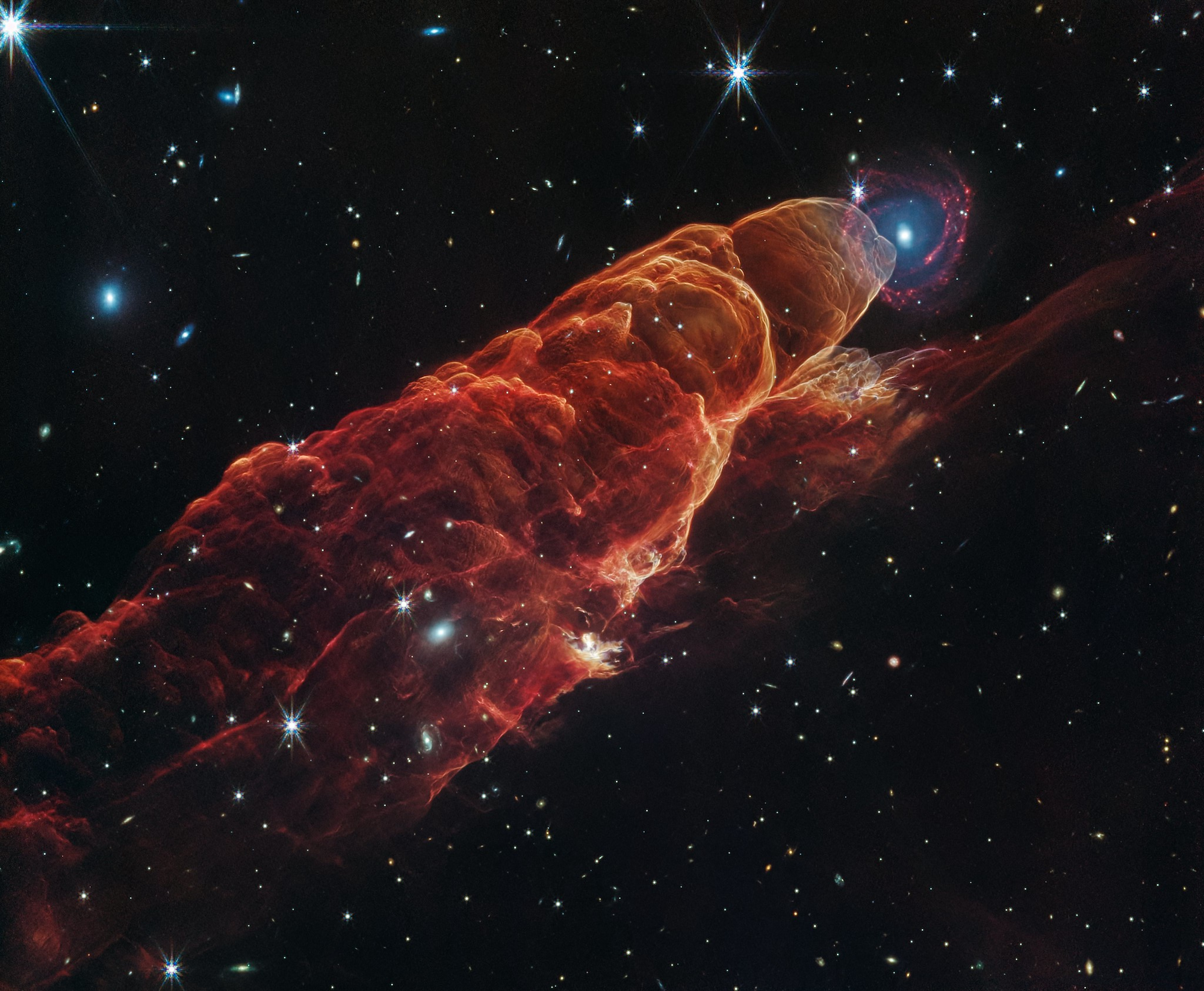 Planetarium Concert: Carlos Niño & Friends (Early Performance)