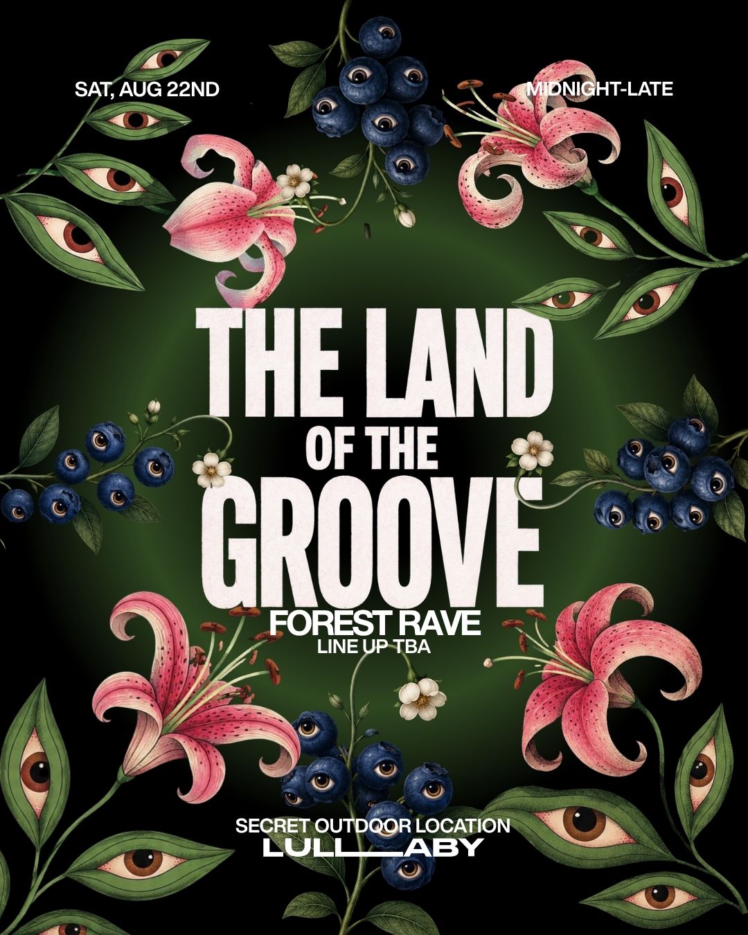 THE LAND OF THE GROOVE