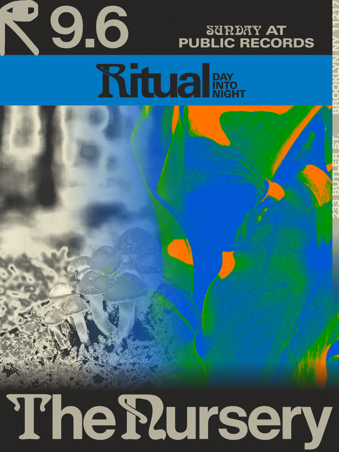 Ritual: Day-Into-Night - Public Records