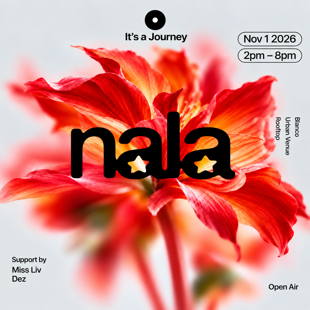 Nala - Rooftop Party