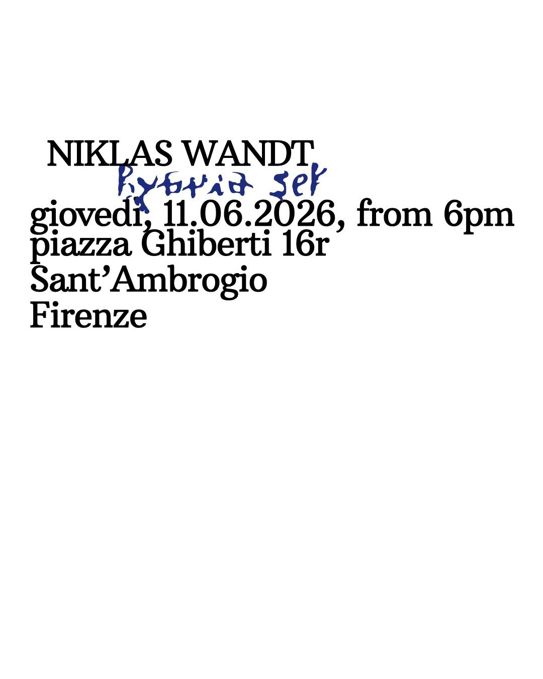 Niklas Wandt // hybrid set