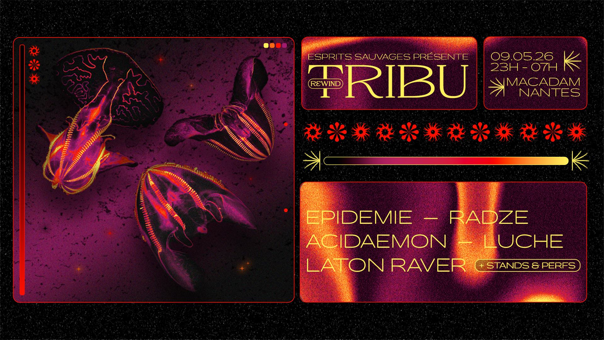 TRIBU · Macadam · Epidemie - Radze and more.