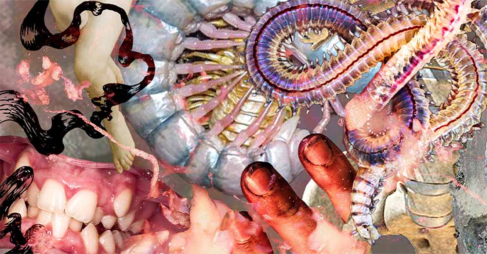 Macadam • Dorisburg (live) ~ Agonis ~ Akira