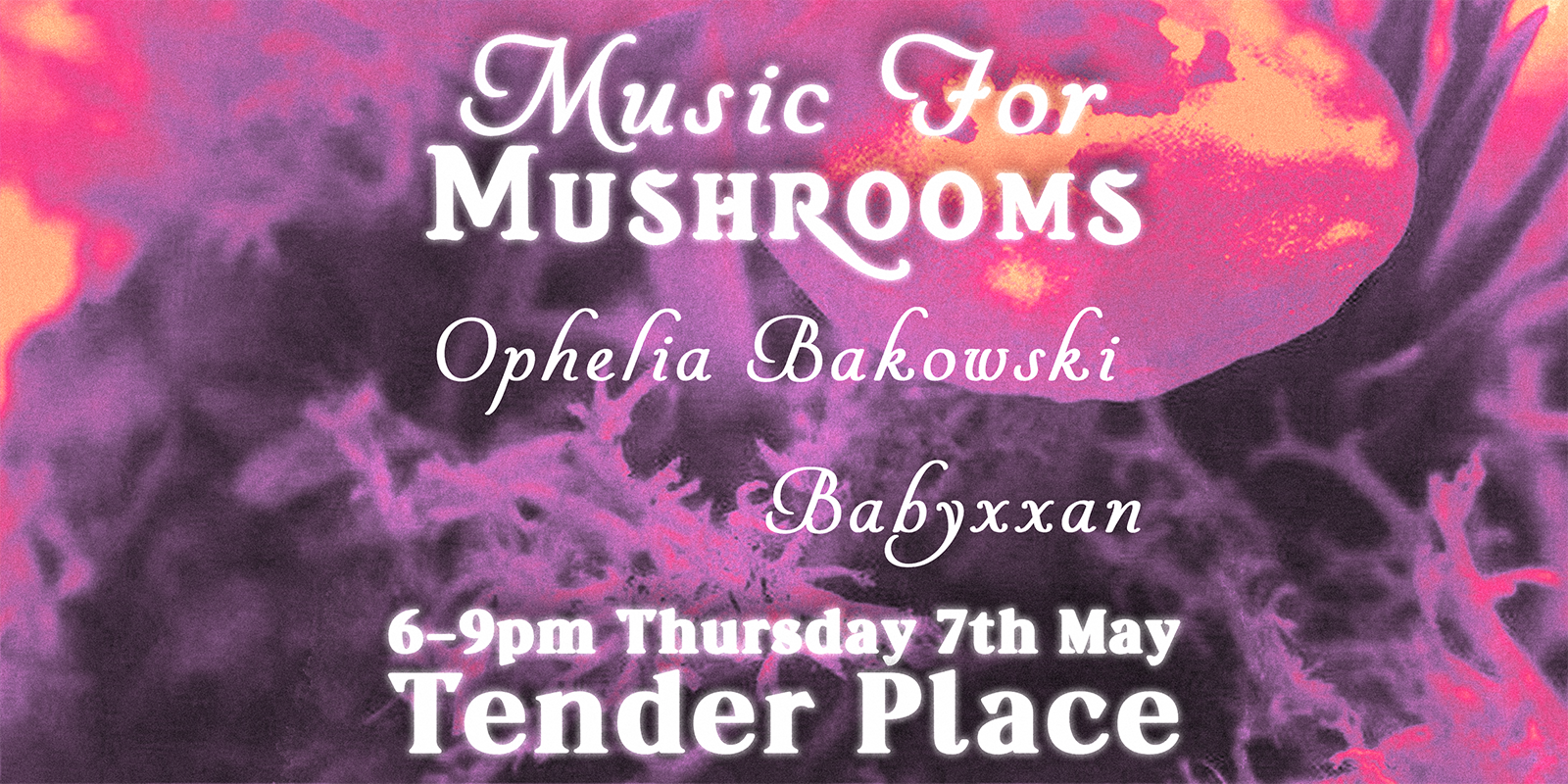 Music For Mushrooms
